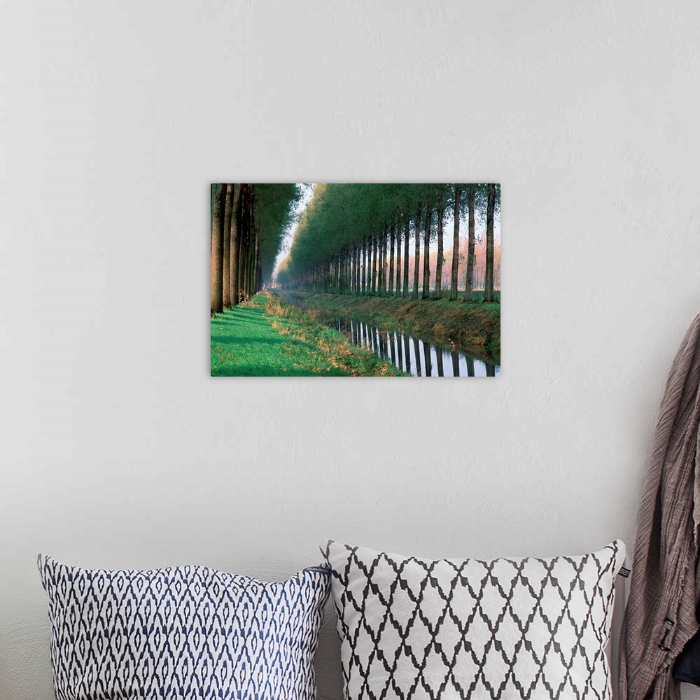 A bohemian room featuring Tree Lined Road, From Brugge To Damme, Belgium