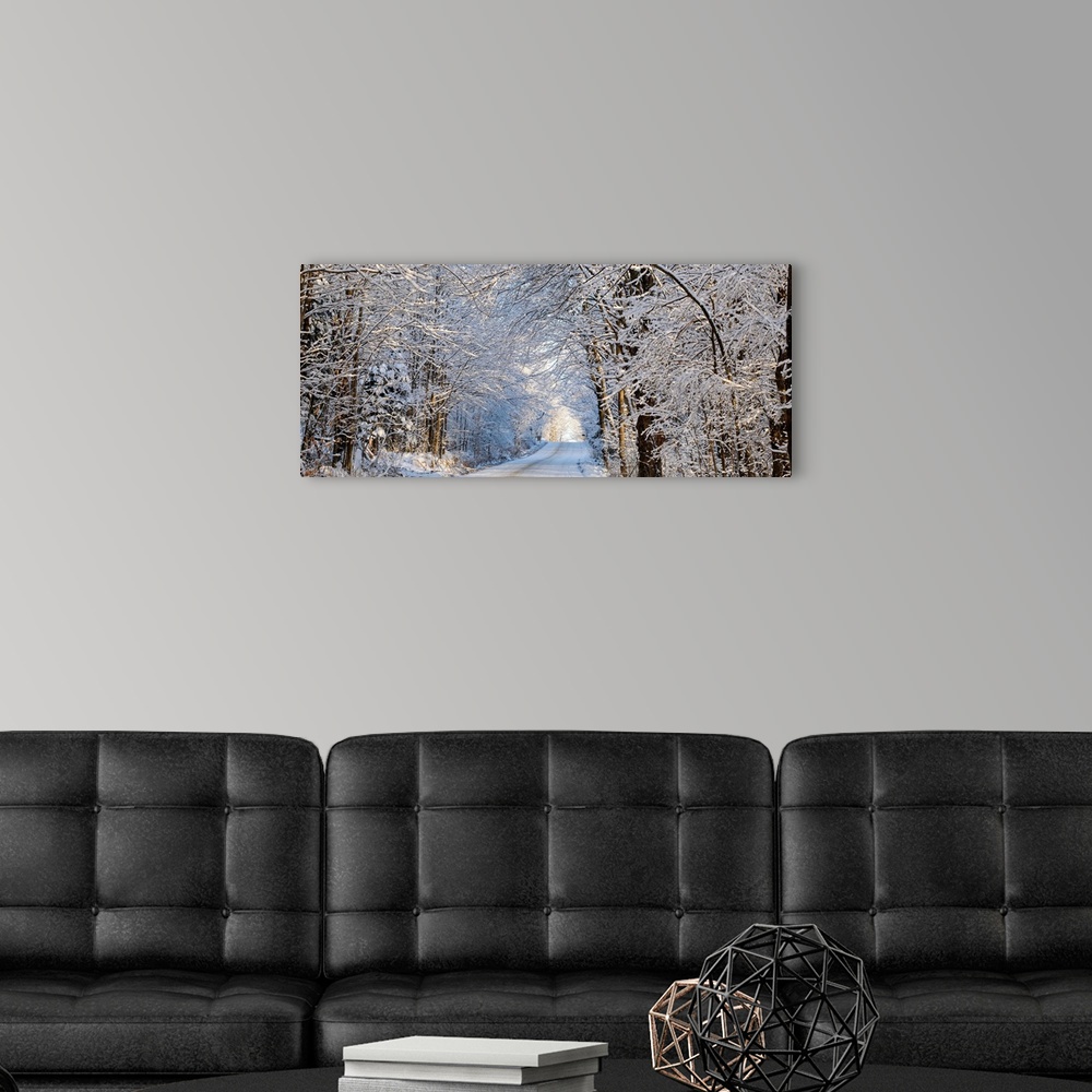 A modern room featuring Tree Lined Road In Winter; East Hill, Quebec, Canada