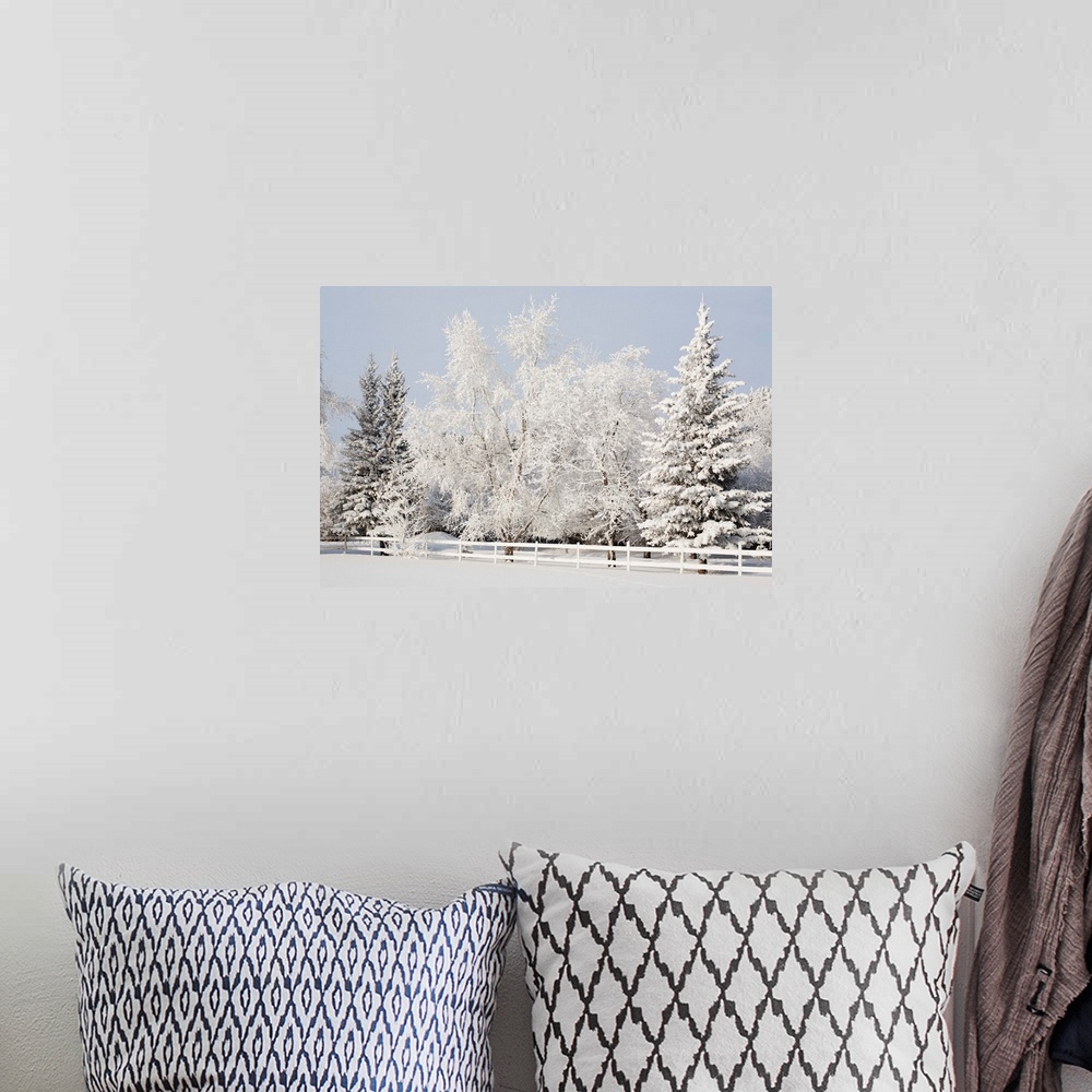 A bohemian room featuring A snowy scenic of a white fence and trees coated in white snow against a wintery sky