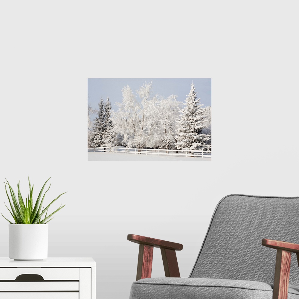 A modern room featuring A snowy scenic of a white fence and trees coated in white snow against a wintery sky