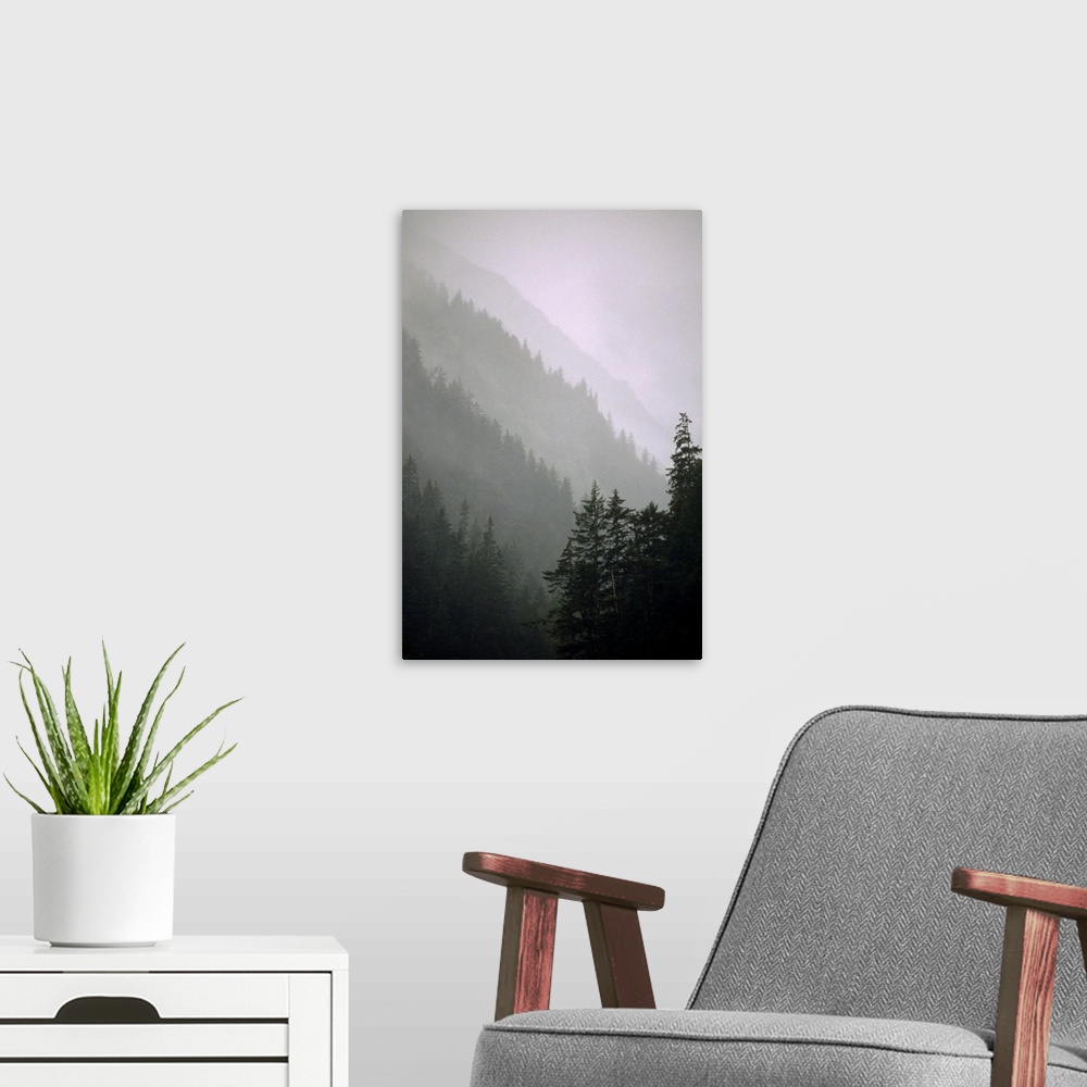 A modern room featuring Trees in fog Seward Southcentral AK winter scenic