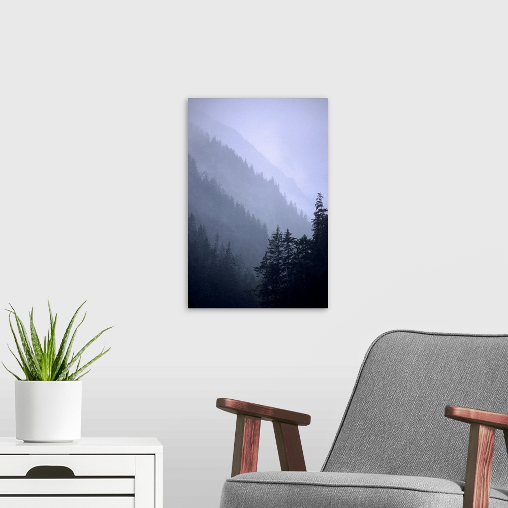 A modern room featuring Trees in fog Seward Southcentral AK winter scenic
