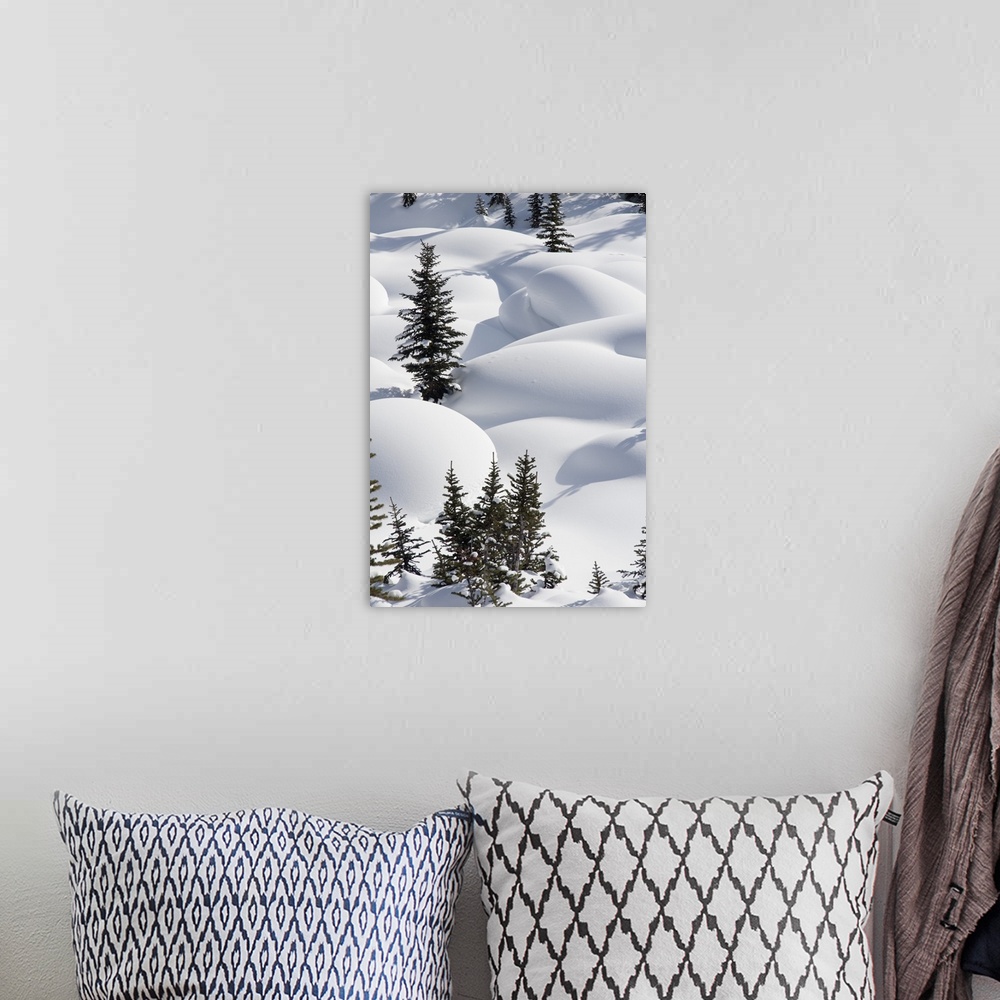 A bohemian room featuring Trees In Snow Drifts At Lake Louise, Banff National Park, Alberta, Canada