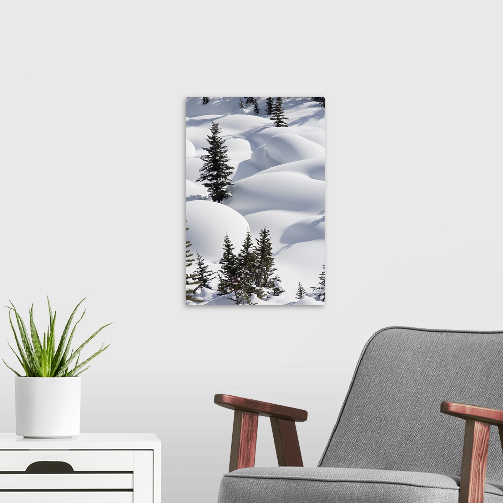 A modern room featuring Trees In Snow Drifts At Lake Louise, Banff National Park, Alberta, Canada