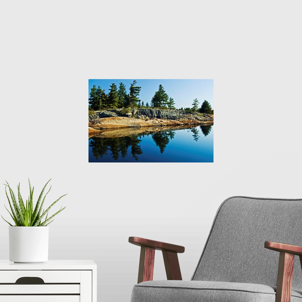 A modern room featuring Tree's Reflection In Water, Georgian Bay, Ontario, Canada
