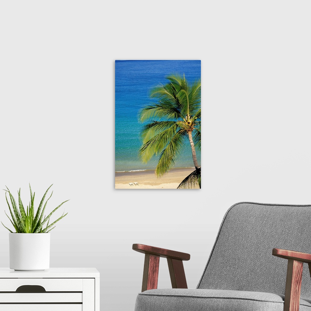 A modern room featuring Tropical Beach With Palm Tree and Beach Chairs