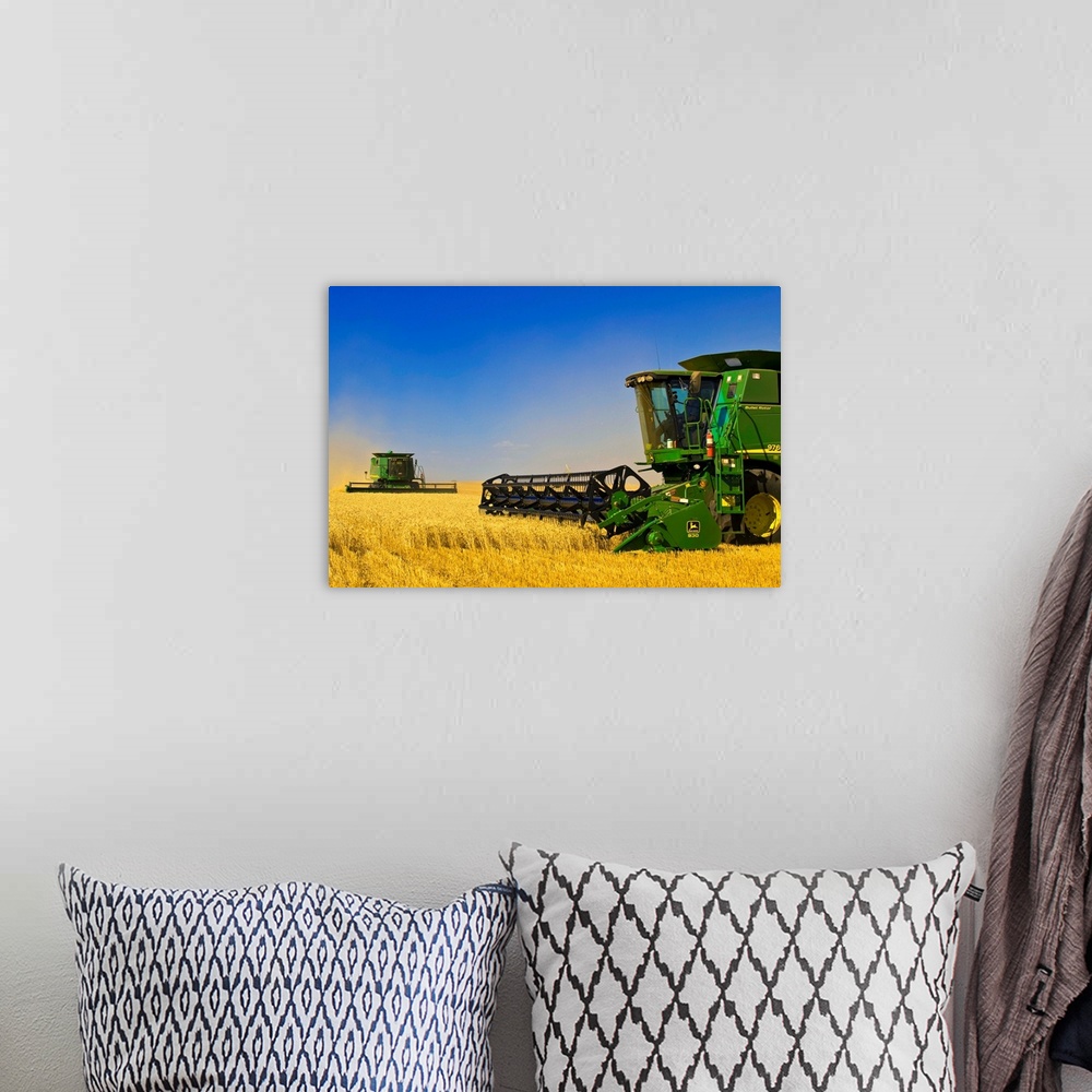 A bohemian room featuring Two Combine Harvesters Work A Field Of Winter Wheat, Near Nesbitt, Manitoba, Canada