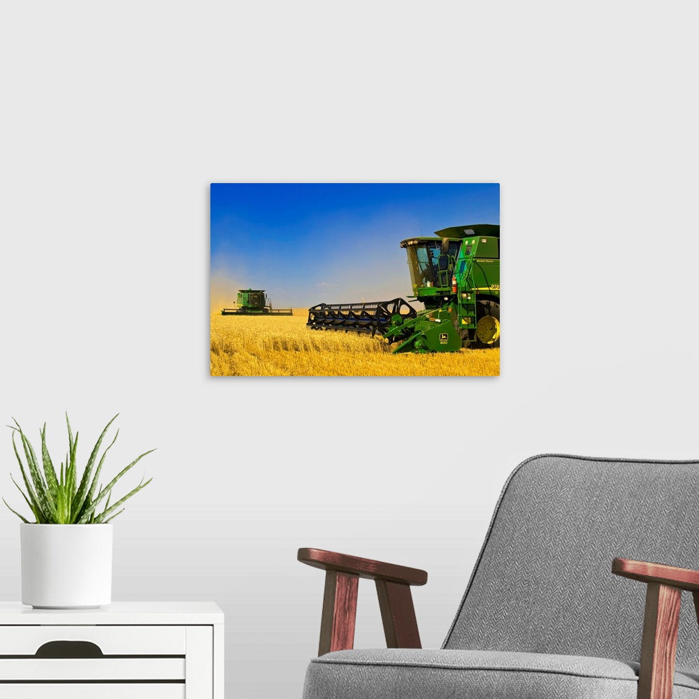 A modern room featuring Two Combine Harvesters Work A Field Of Winter Wheat, Near Nesbitt, Manitoba, Canada