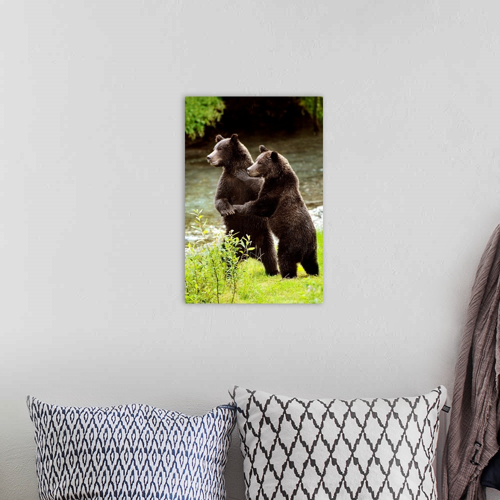 A bohemian room featuring Two Grizzly Bears