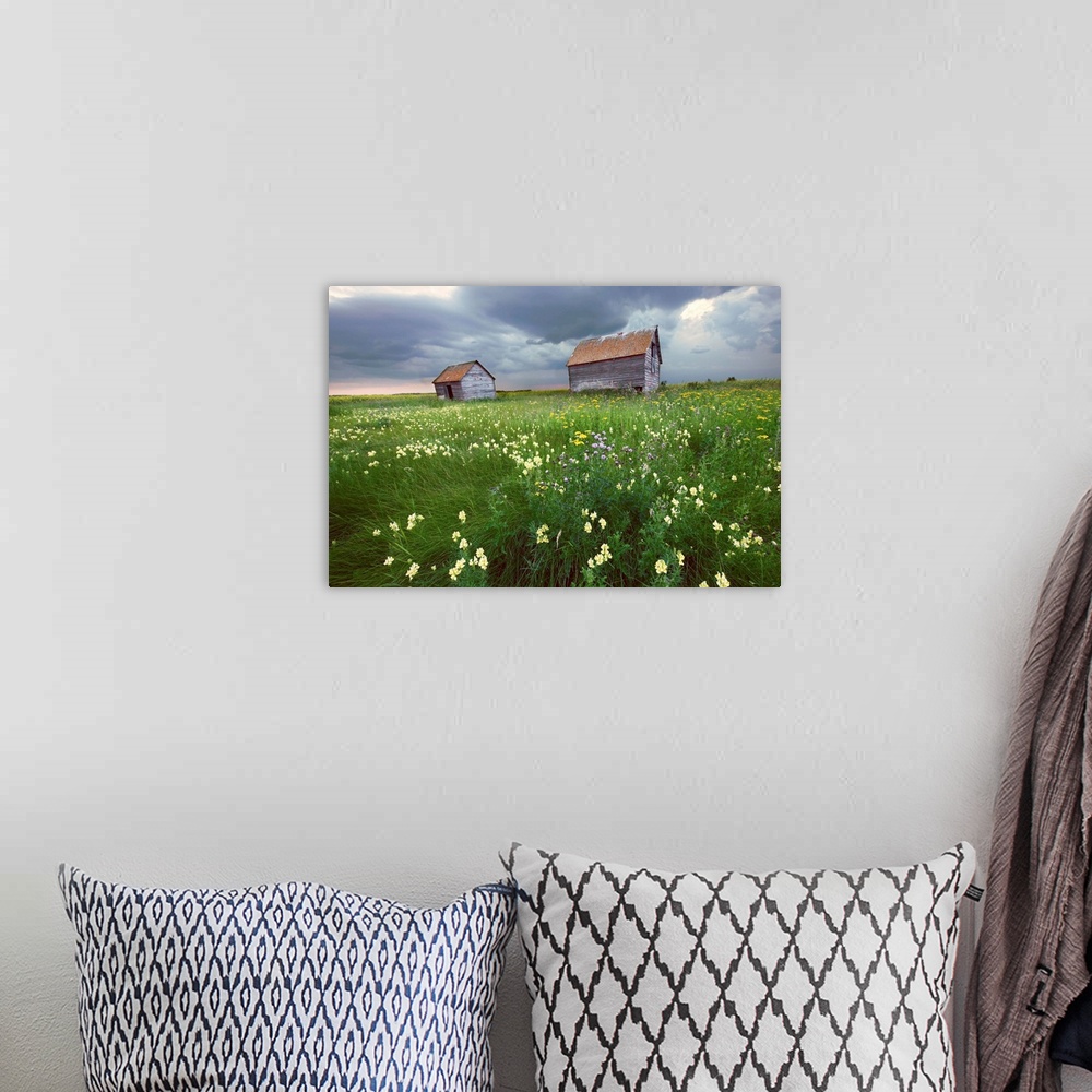 A bohemian room featuring Two Old Granaries With Prairie Wildflowers, Central Alberta, Canada