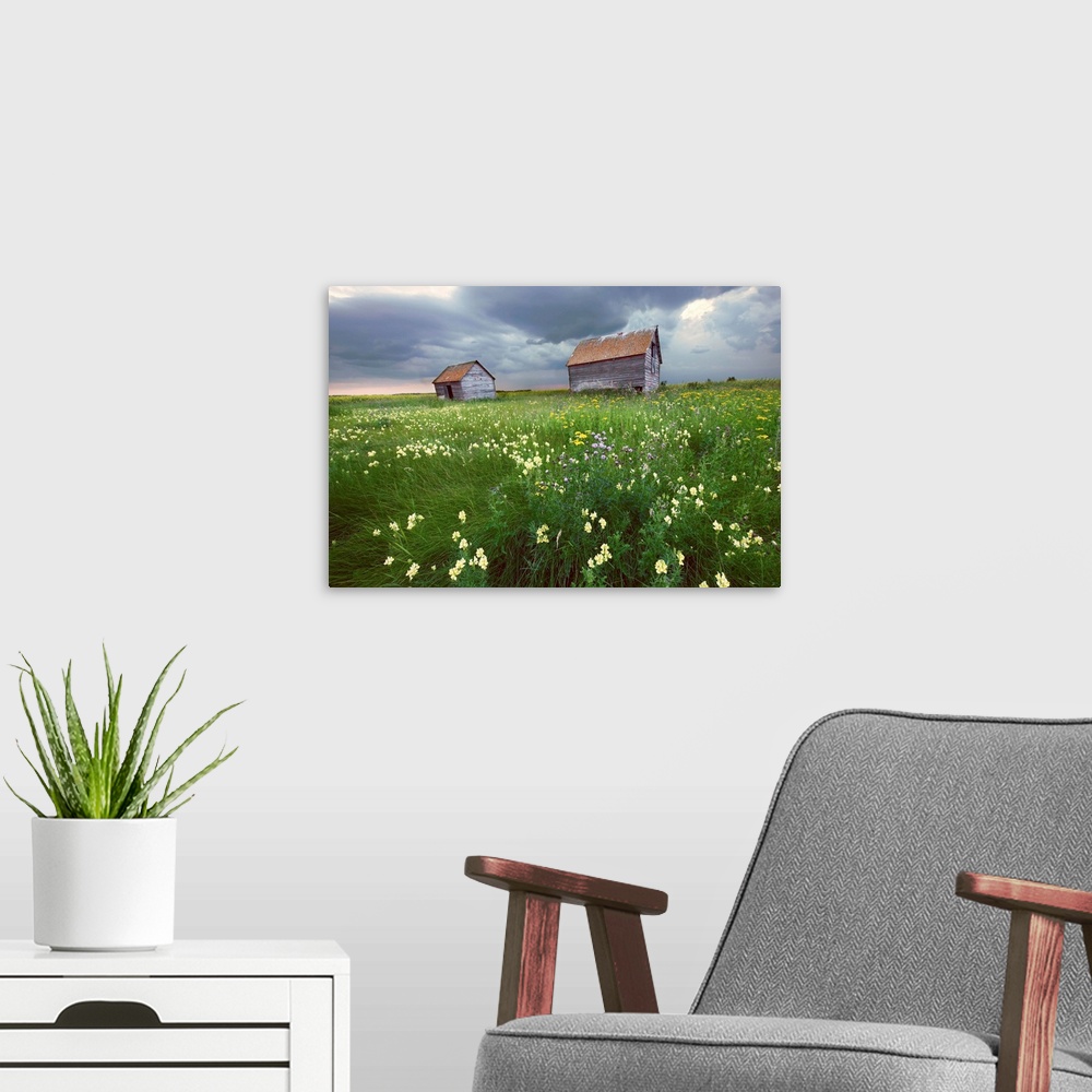 A modern room featuring Two Old Granaries With Prairie Wildflowers, Central Alberta, Canada