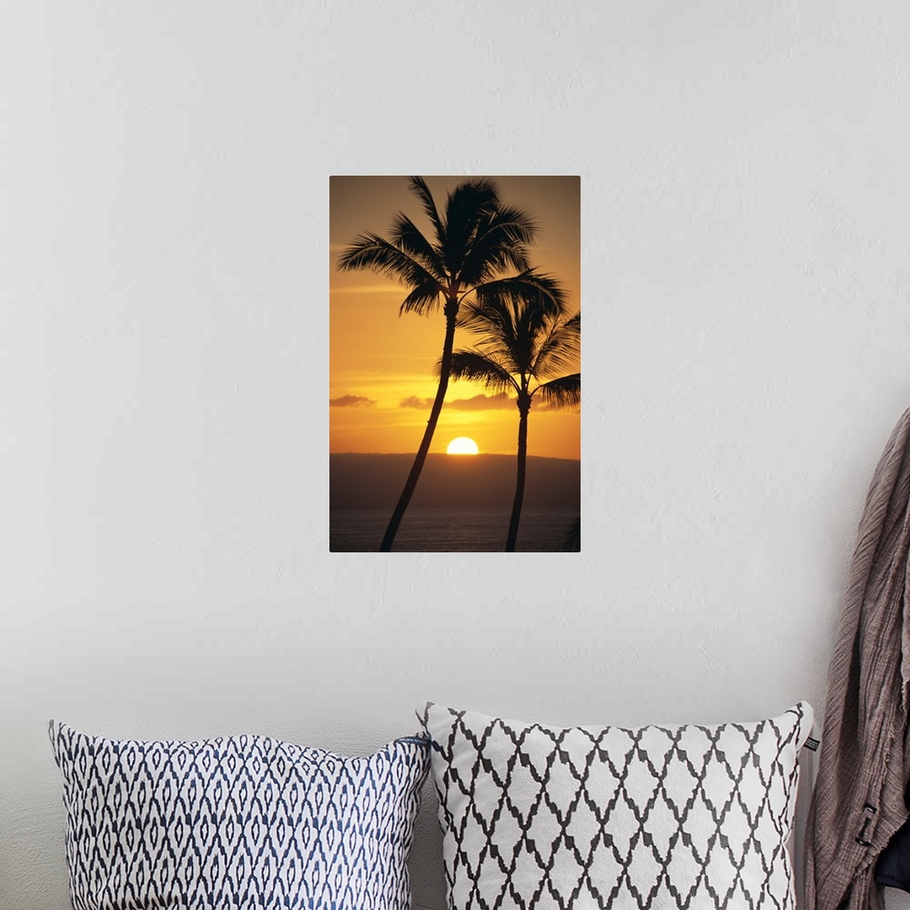 A bohemian room featuring Two Palm Trees Silhouetted At Sunset With Fiery Orange Sun