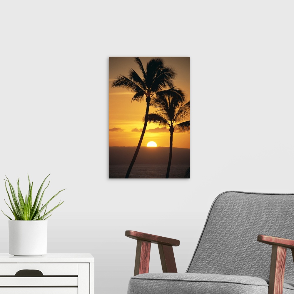 A modern room featuring Two Palm Trees Silhouetted At Sunset With Fiery Orange Sun