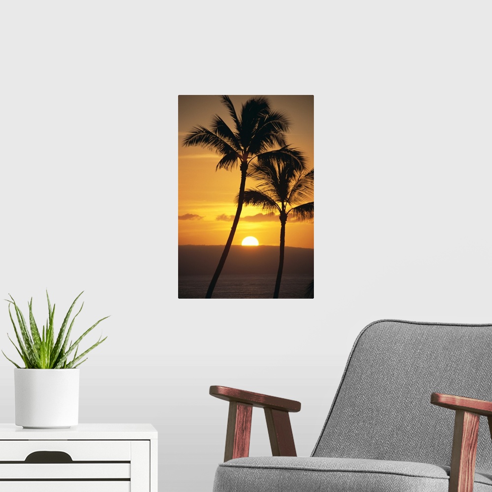 A modern room featuring Two Palm Trees Silhouetted At Sunset With Fiery Orange Sun
