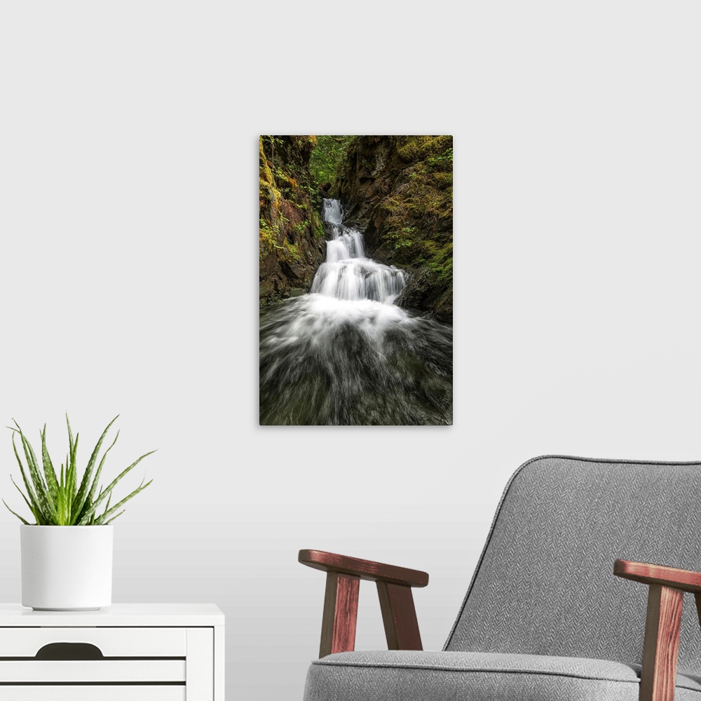 A modern room featuring Unnamed stream and waterfall, Strathcona Provincial Park, British Columbia, Canada