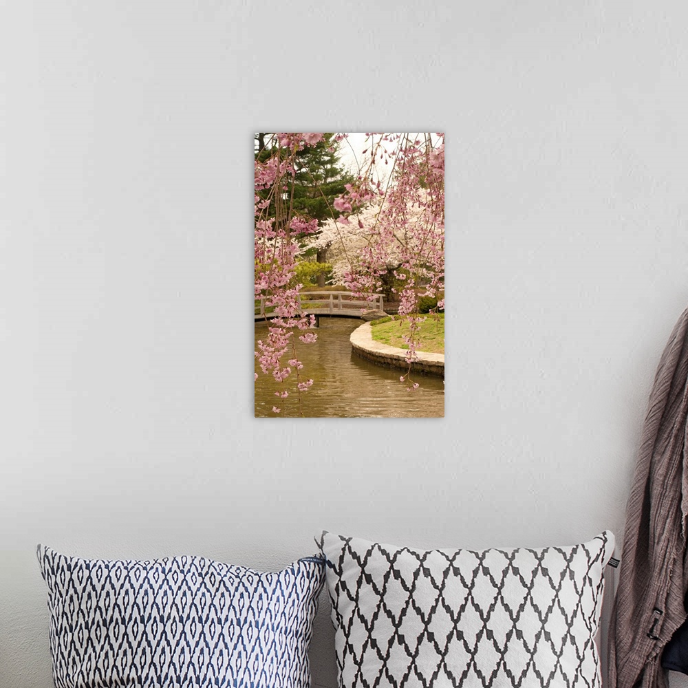 A bohemian room featuring Sakura trees in bloom at an Asian-inspired garden.