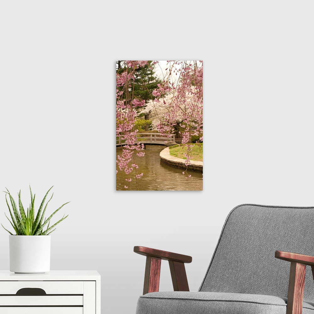 A modern room featuring Sakura trees in bloom at an Asian-inspired garden.