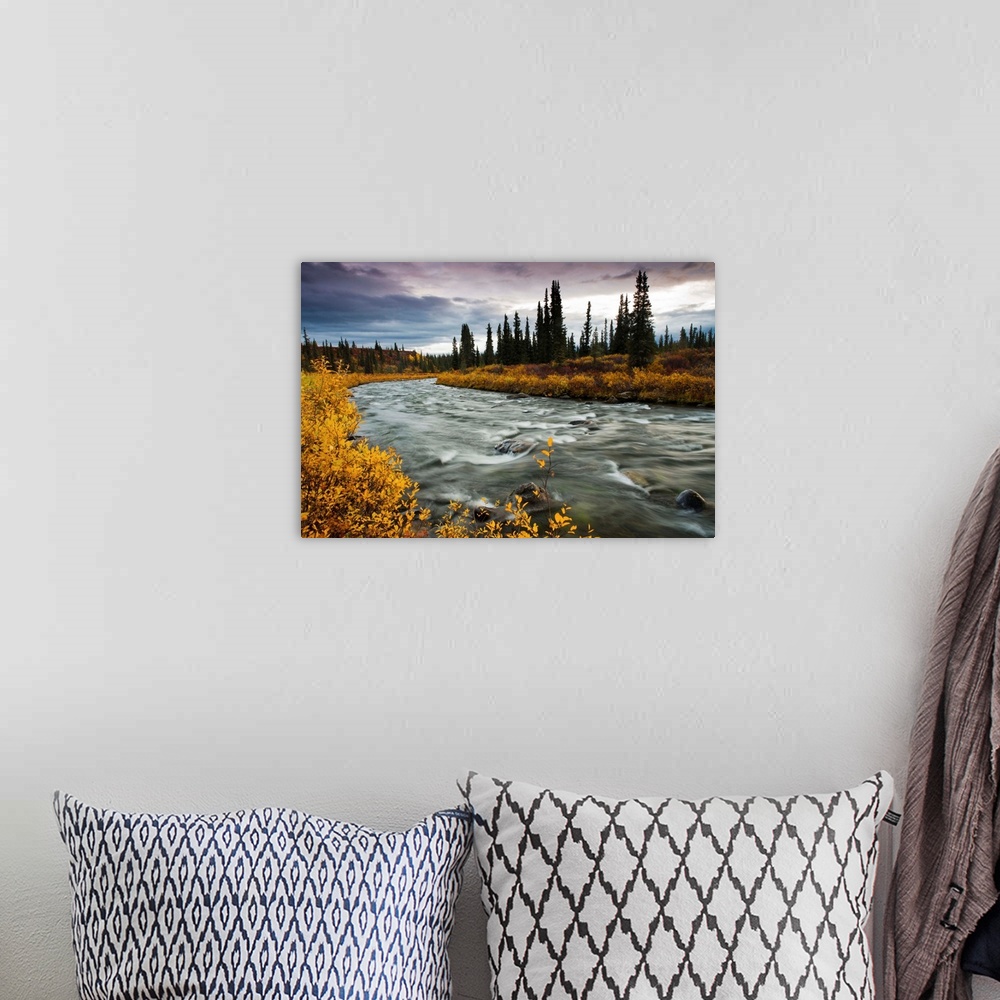A bohemian room featuring View of Brushkana Creek in the early morning with bight yellow fall colors, along the Denali High...