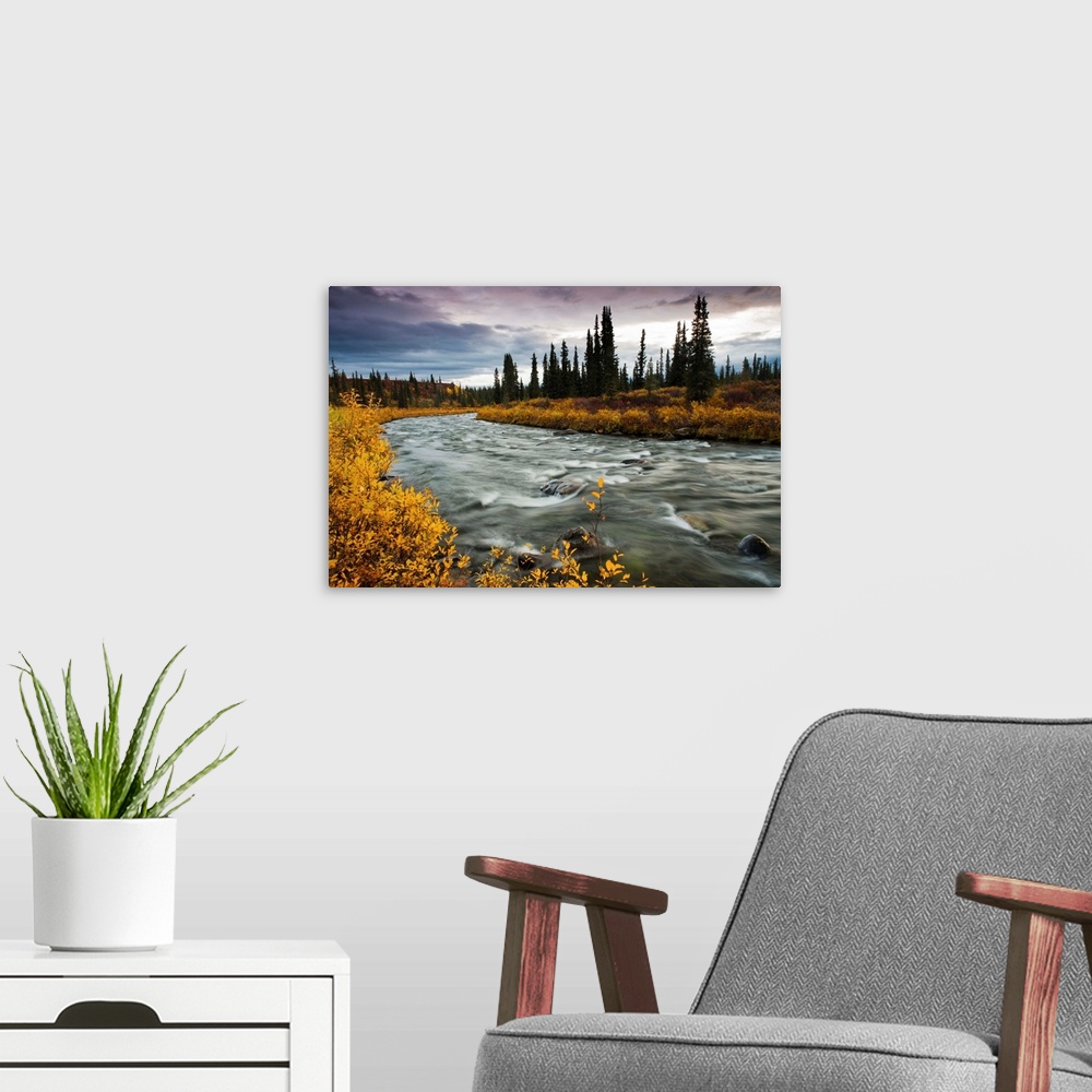 A modern room featuring View of Brushkana Creek in the early morning with bight yellow fall colors, along the Denali High...