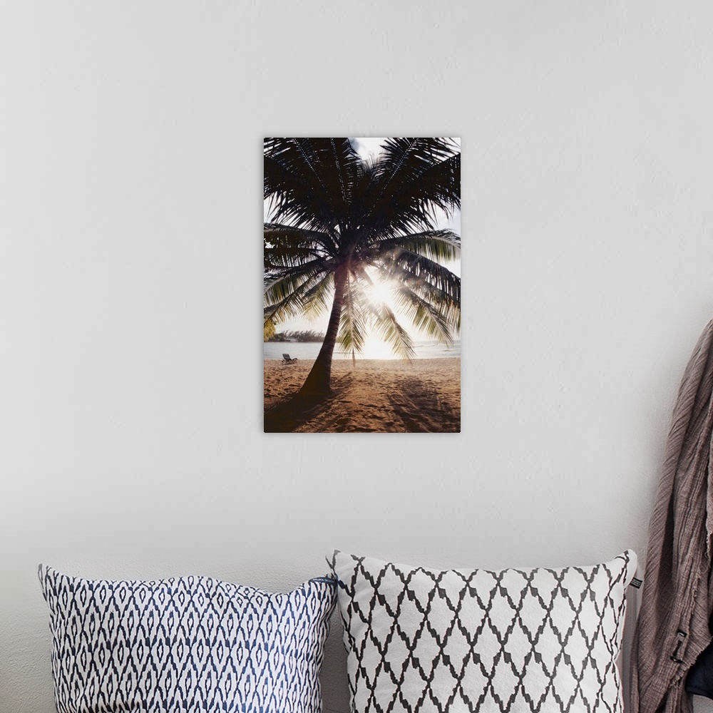 A bohemian room featuring View Of Ocean And Beach Through Palm Tree, Caribbean