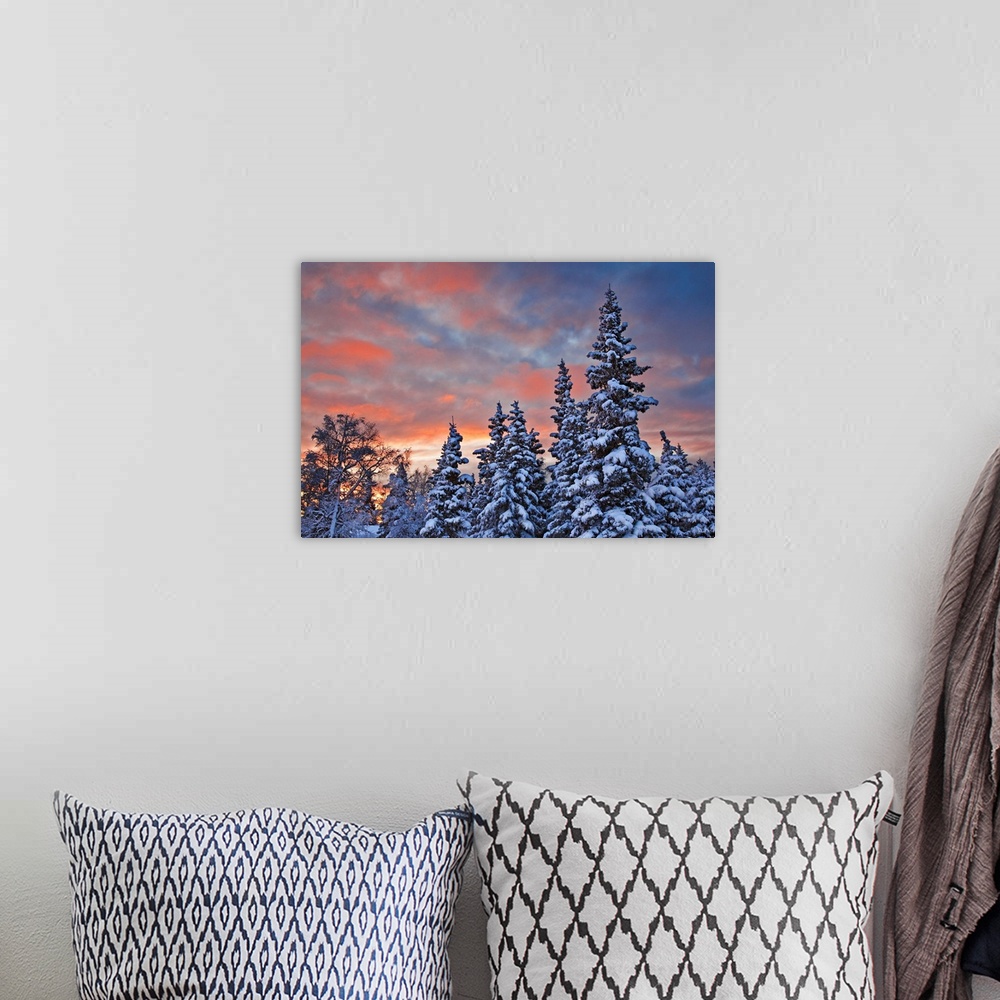 A bohemian room featuring View of snow covered spruce trees in a rural area of Anchorage at sunset, South-central Alaska, W...