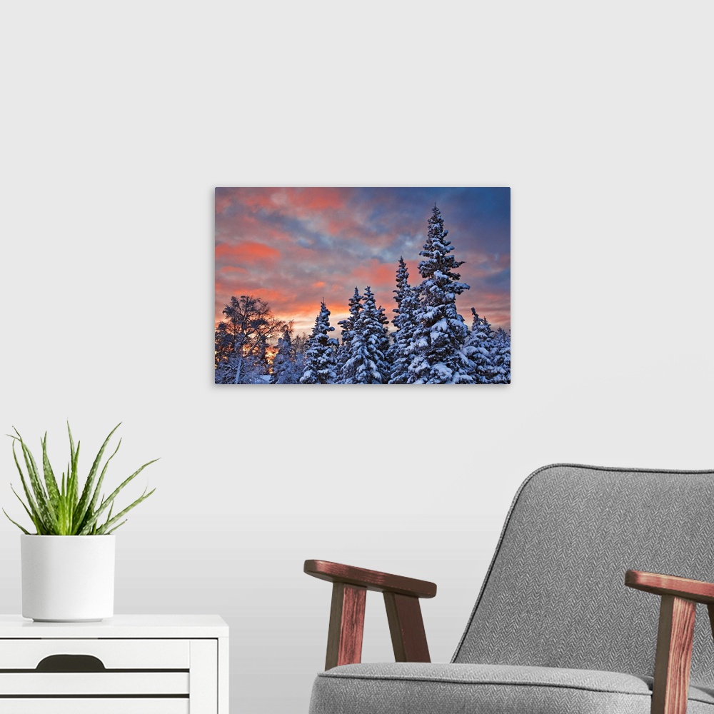 A modern room featuring View of snow covered spruce trees in a rural area of Anchorage at sunset, South-central Alaska, W...
