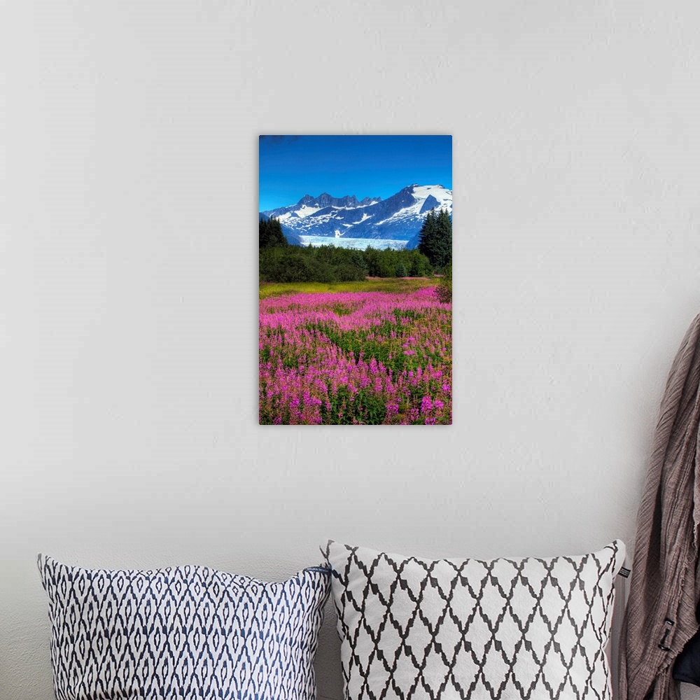 A bohemian room featuring View Of The Mendenhall Glacier With A Field Of Fireweed In The Foreground, Alaska