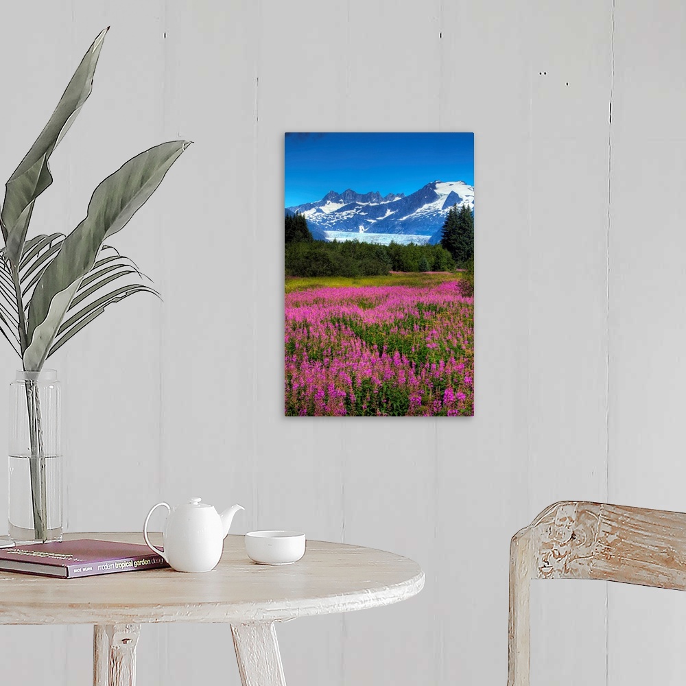 A farmhouse room featuring View Of The Mendenhall Glacier With A Field Of Fireweed In The Foreground, Alaska