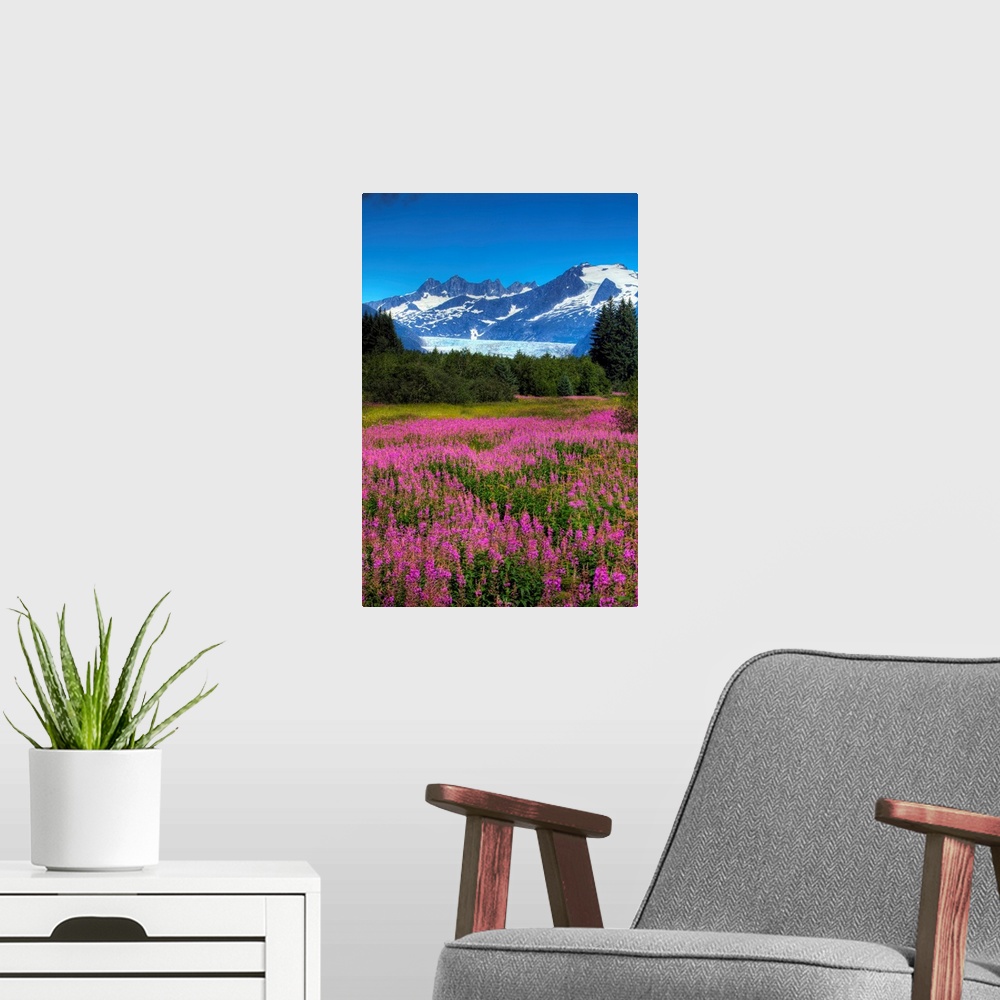 A modern room featuring View Of The Mendenhall Glacier With A Field Of Fireweed In The Foreground, Alaska