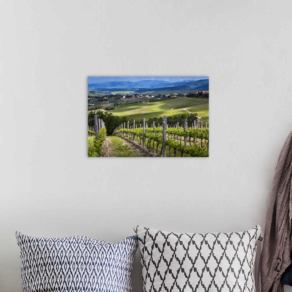 A bohemian room featuring Vineyard, Chianti, Tuscany, Italy