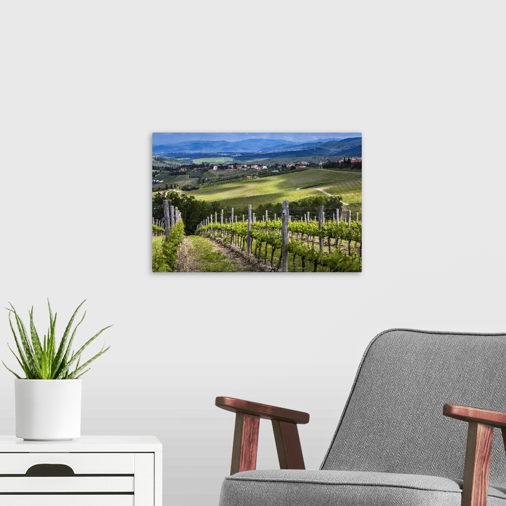 A modern room featuring Vineyard, Chianti, Tuscany, Italy