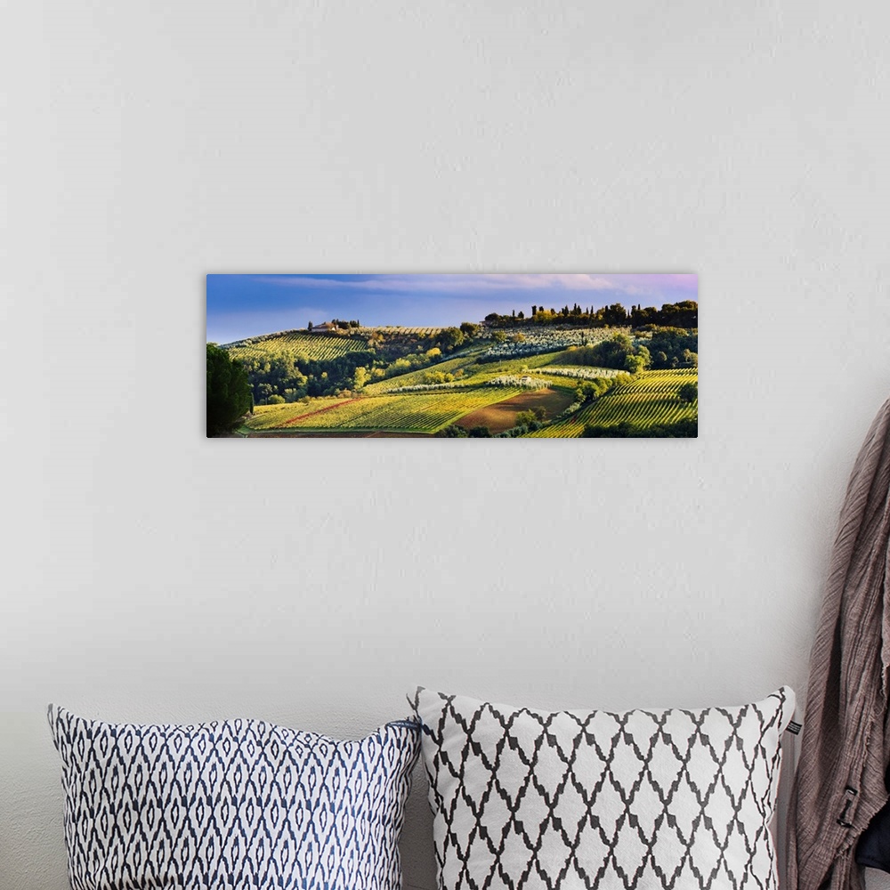A bohemian room featuring Vineyard, near San Gimignano, Tuscany, Italy