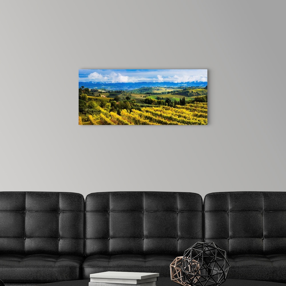 A modern room featuring Vineyard, San Gimignano, Tuscany, Italy