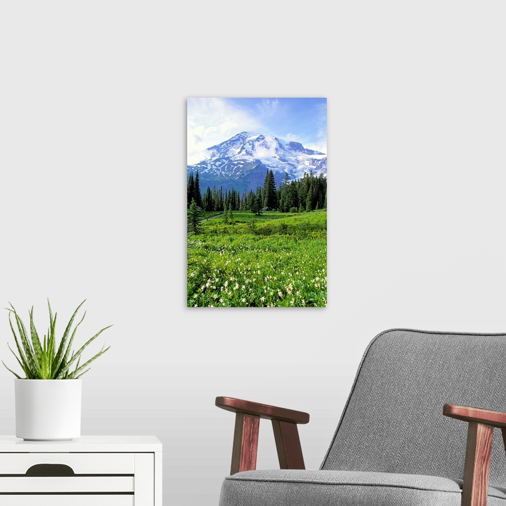 A modern room featuring Washington, Mt. Rainier National Park, Meadow Along Nisqually Vista Trail