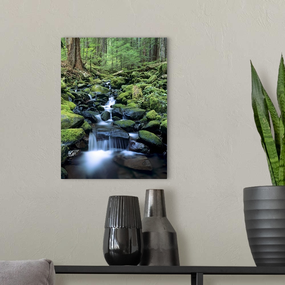 A modern room featuring Washington, Olympic National Park, Stream Waters Falling Over Rocks