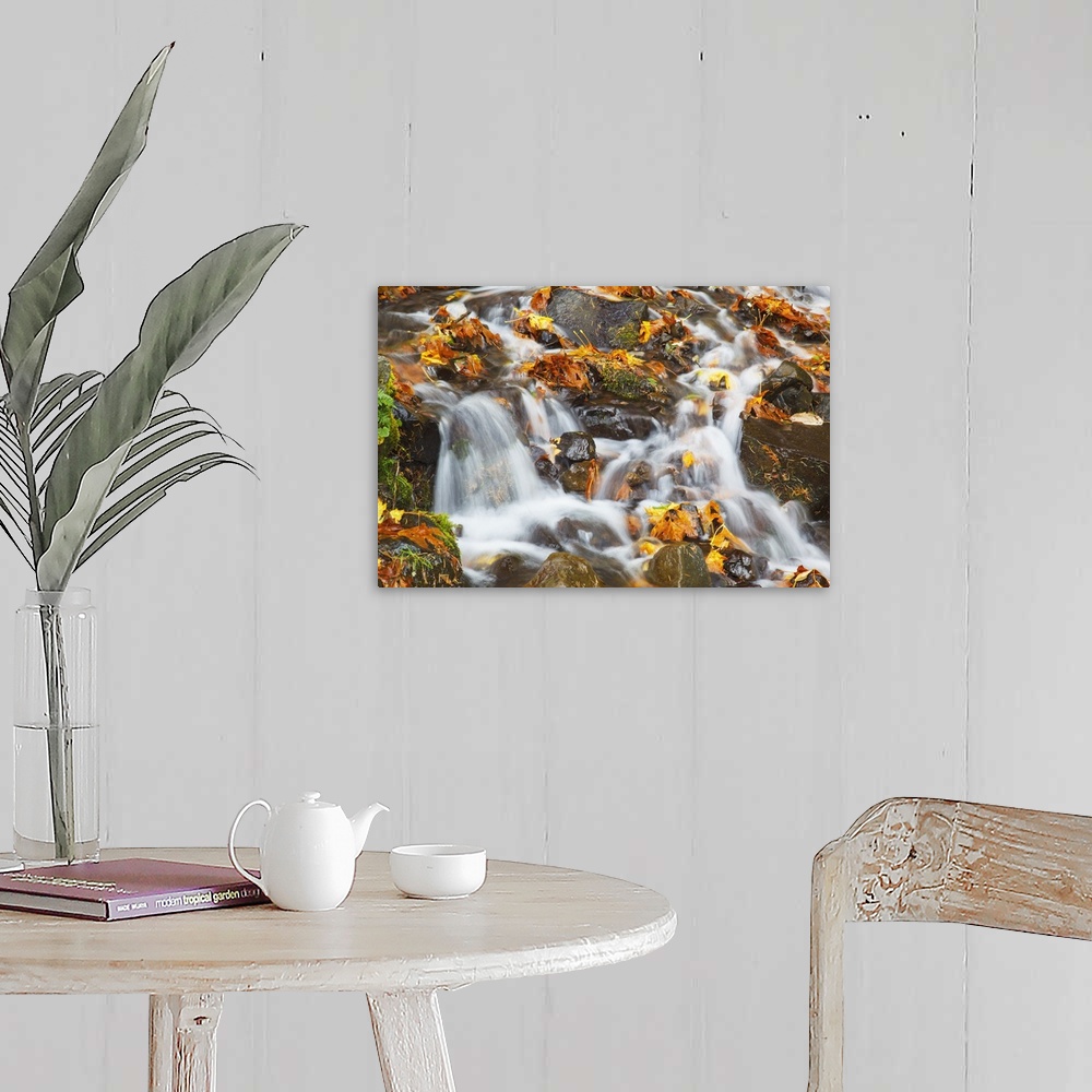 A farmhouse room featuring Water Cascading Over Rocks Covered In Leaves In Autumn