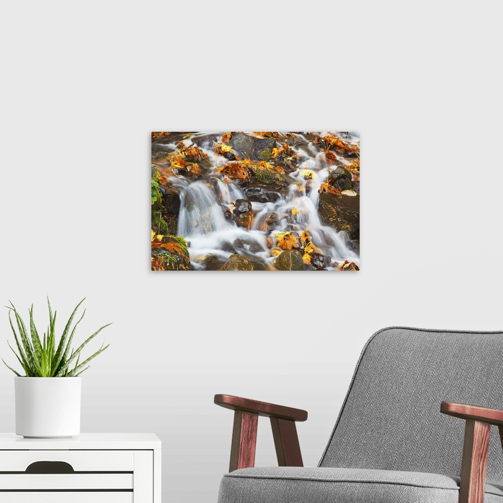 A modern room featuring Water Cascading Over Rocks Covered In Leaves In Autumn