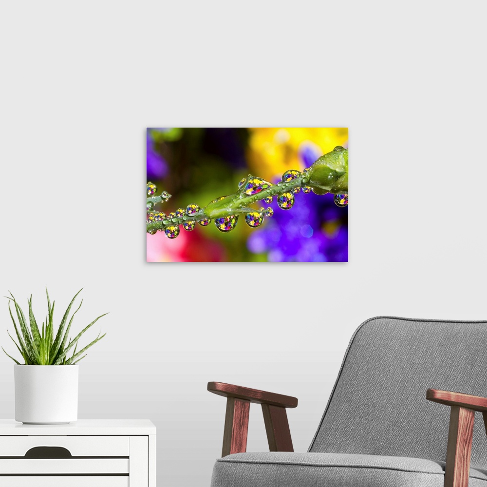 A modern room featuring Water Drops On A Flower Stem