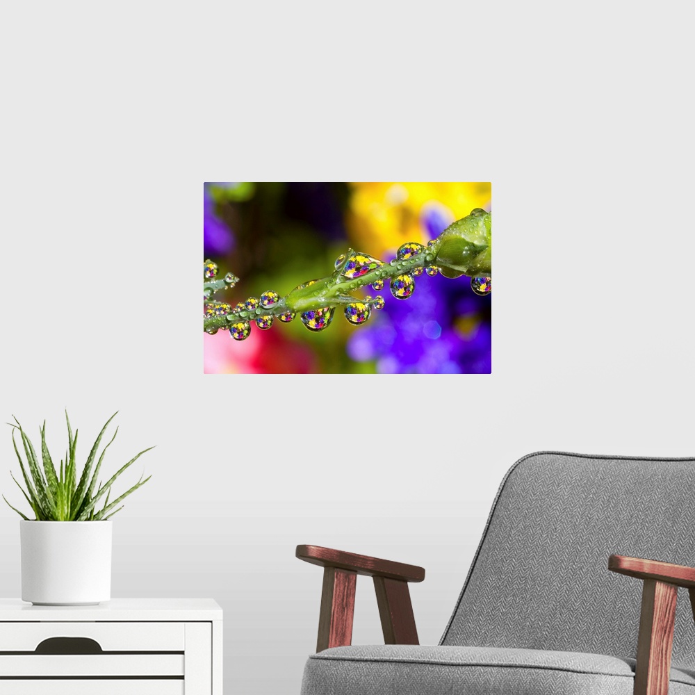 A modern room featuring Water Drops On A Flower Stem
