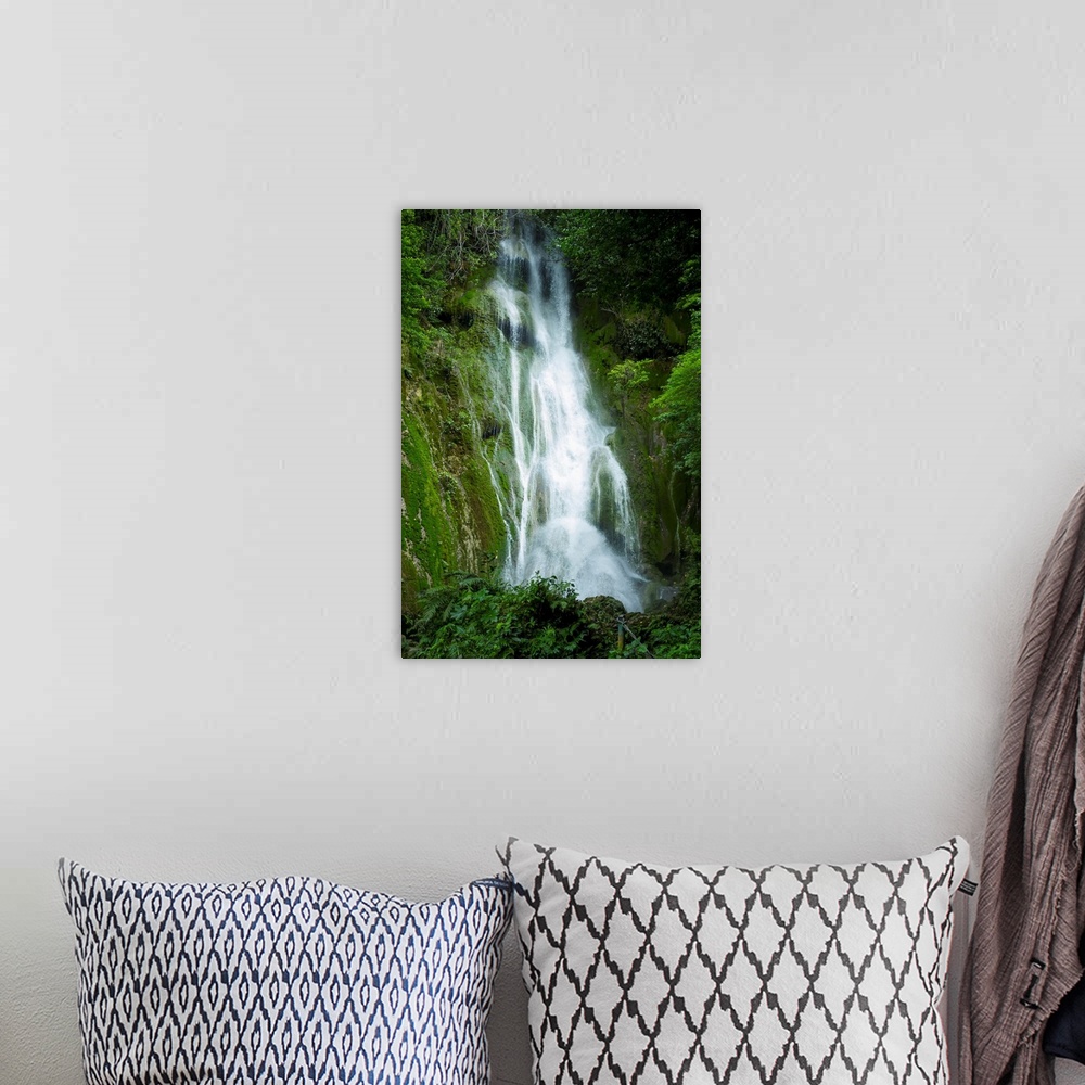 A bohemian room featuring Waterfall over moss covered cliff. Tanna Island, Vanuatu.