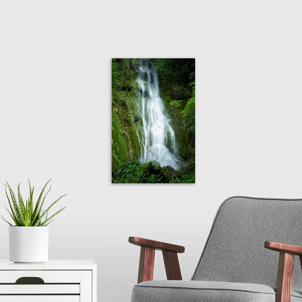 A modern room featuring Waterfall over moss covered cliff. Tanna Island, Vanuatu.