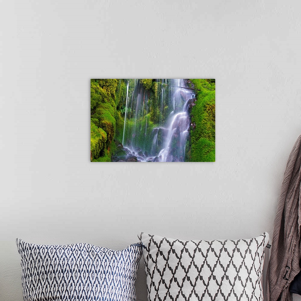 A bohemian room featuring Waterfall Over Moss-Covered Rocks