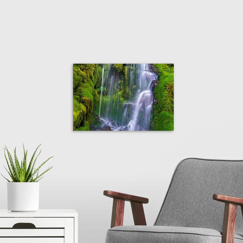 A modern room featuring Waterfall Over Moss-Covered Rocks