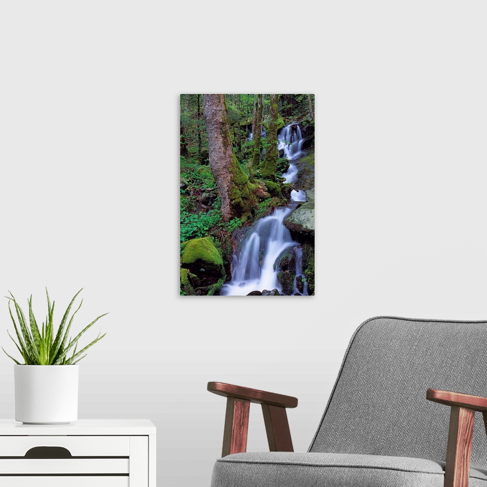 A modern room featuring Waterfall Pouring Down Mountainside