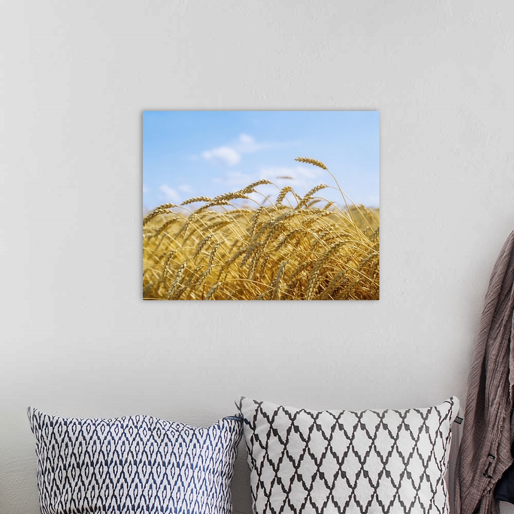 A bohemian room featuring Wheat Field