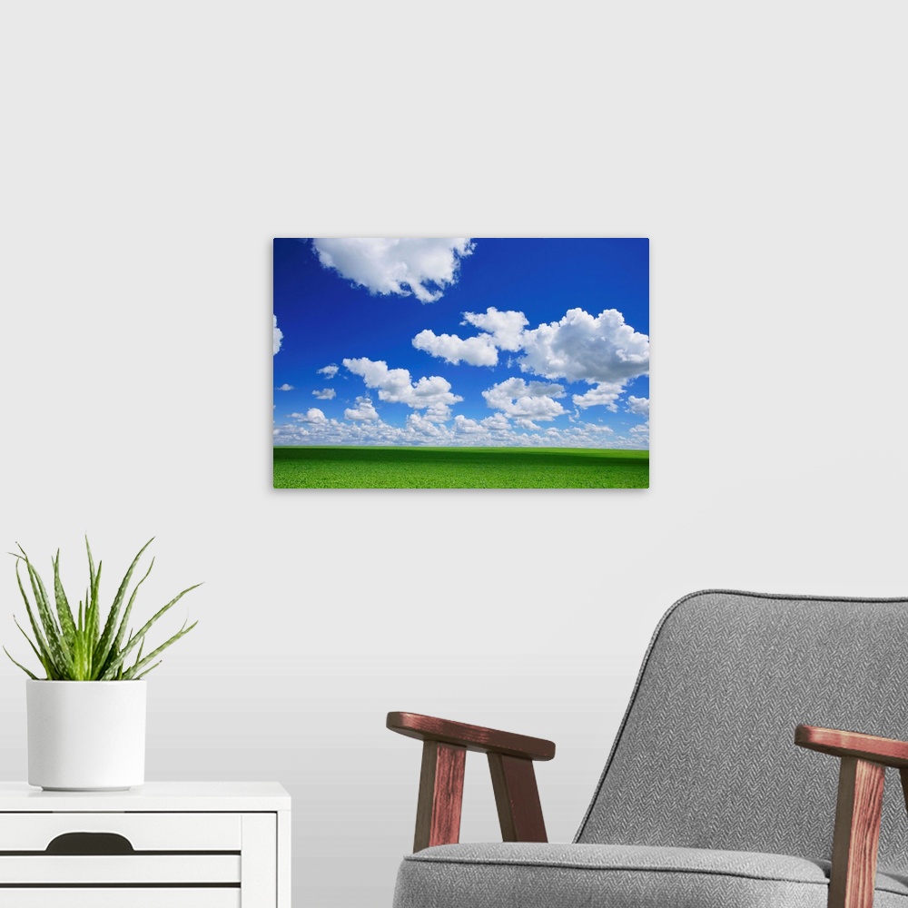A modern room featuring White Clouds In The Sky And Green Meadow