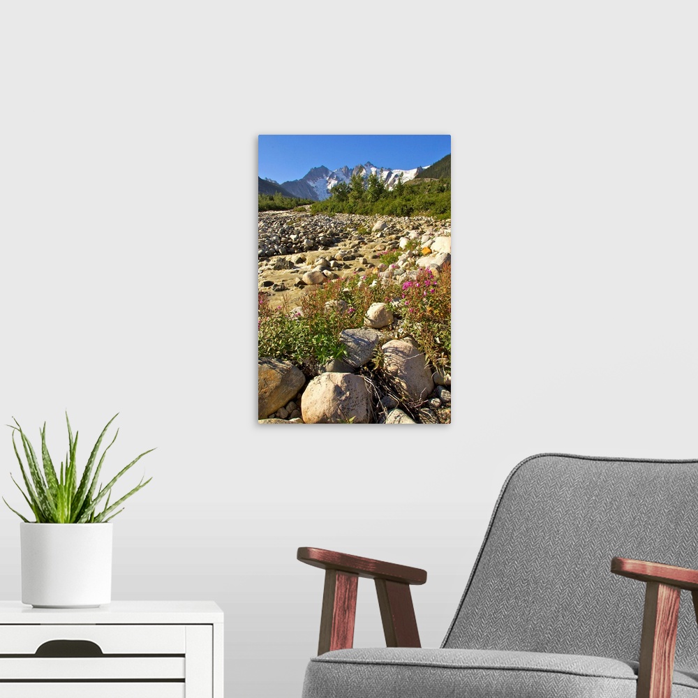 A modern room featuring Scenic view along the White Pass Trail Heli-Hike hiking tour in the Tongass National Forest near ...