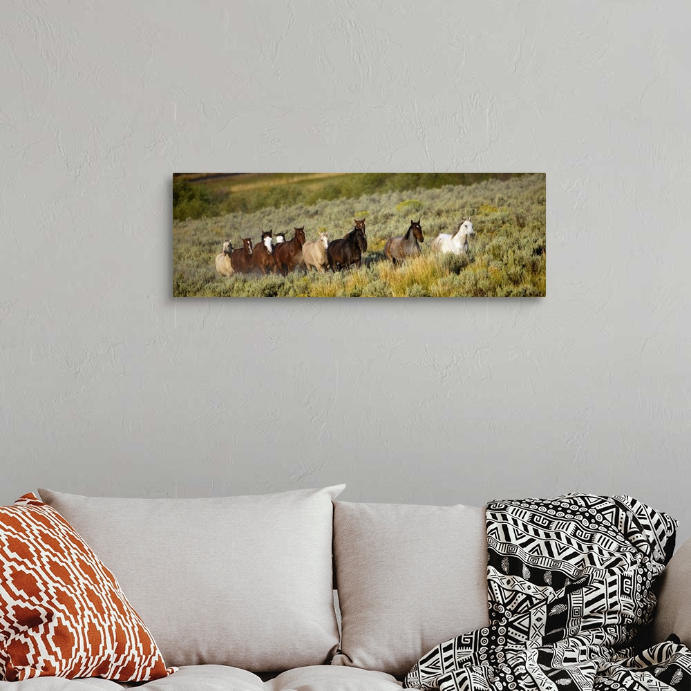 A bohemian room featuring Wild Horses