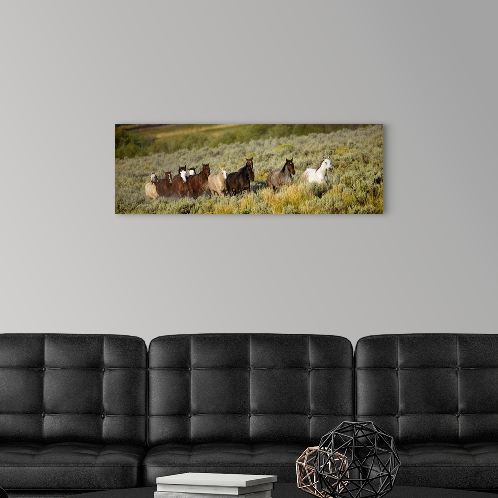 A modern room featuring Wild Horses