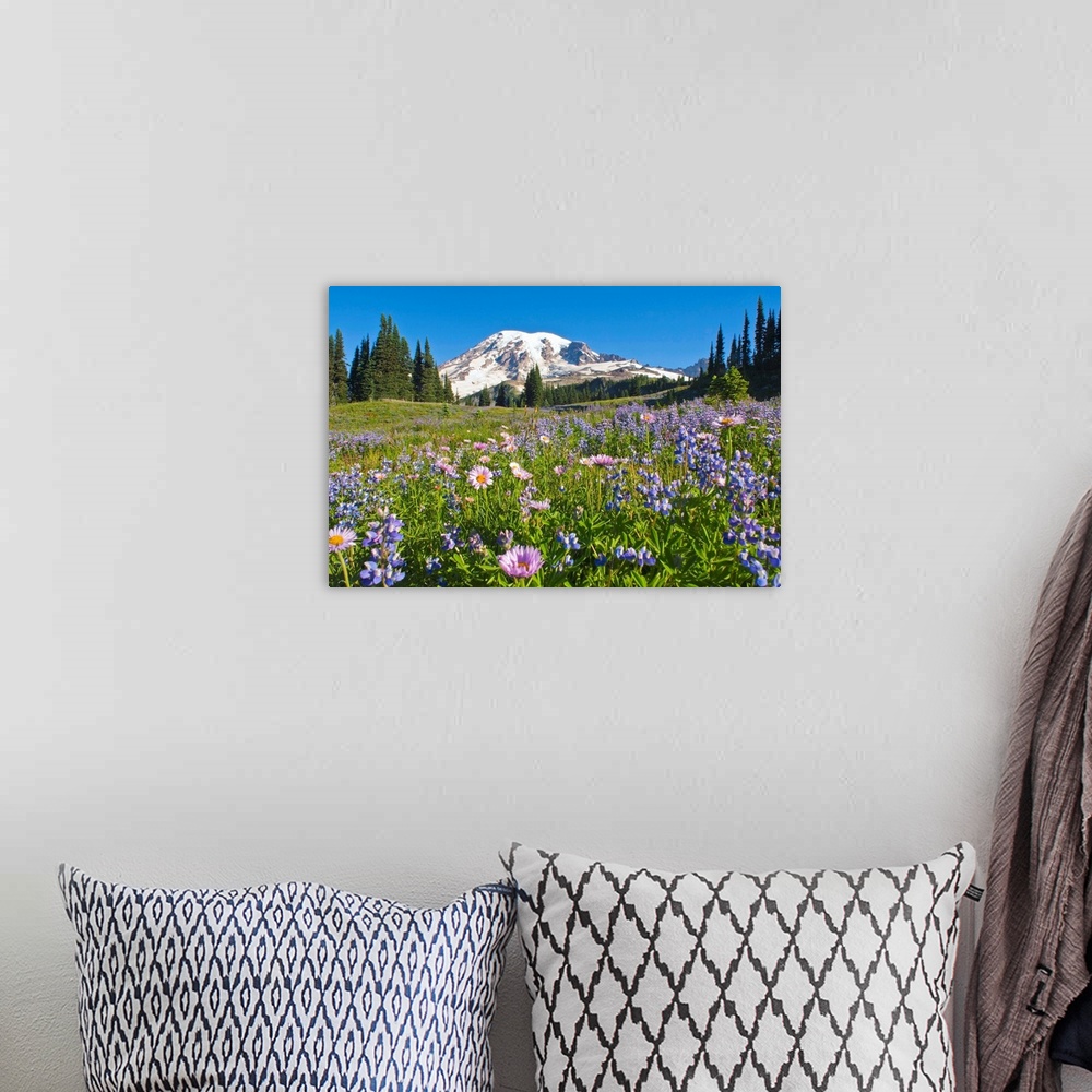 A bohemian room featuring Wildflower Meadow, Mount Rainier National Park, Washington, USA
